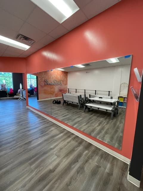 Dance Studio Mirror - Mirrors project by Custom Glass Works