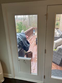 PetDoorNoGrids - Pet Doors project by Custom Glass Works